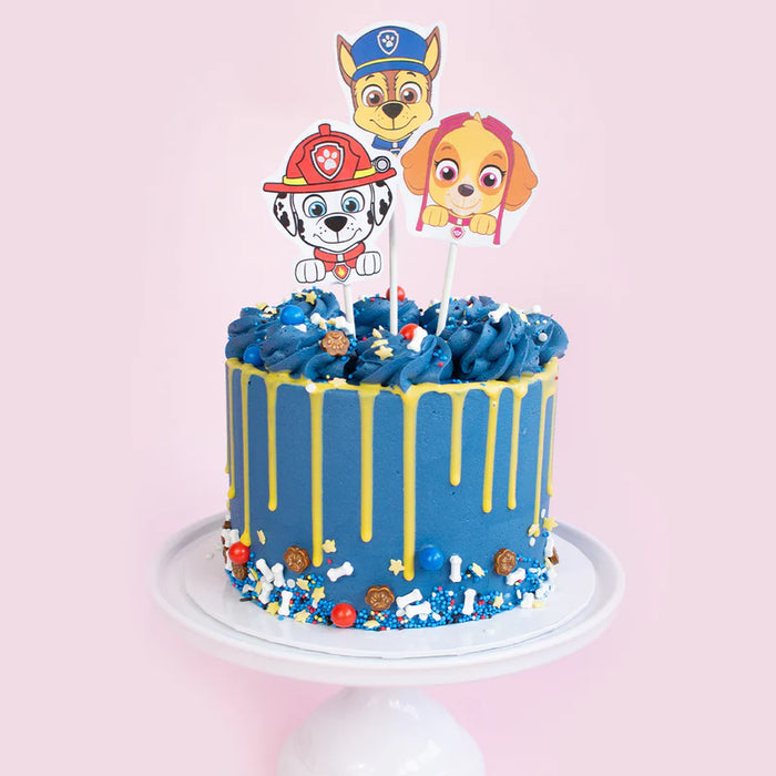 Paw Patrol Power 90g