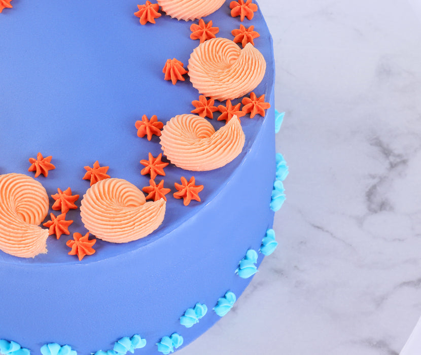Jem Nozzles Set – Mini Cupcake & Star Collection, Pack of 3
