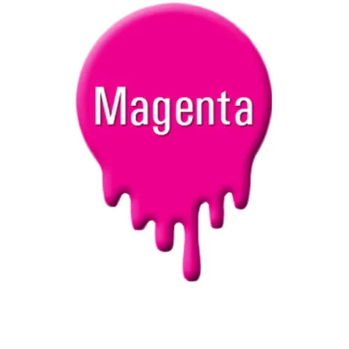 100ml Edible Ink Refills