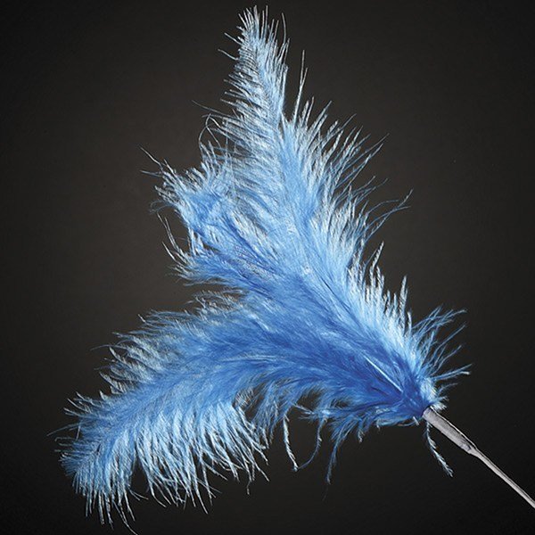 Blue Feathers 260mm x6 - Bakeworld.ie